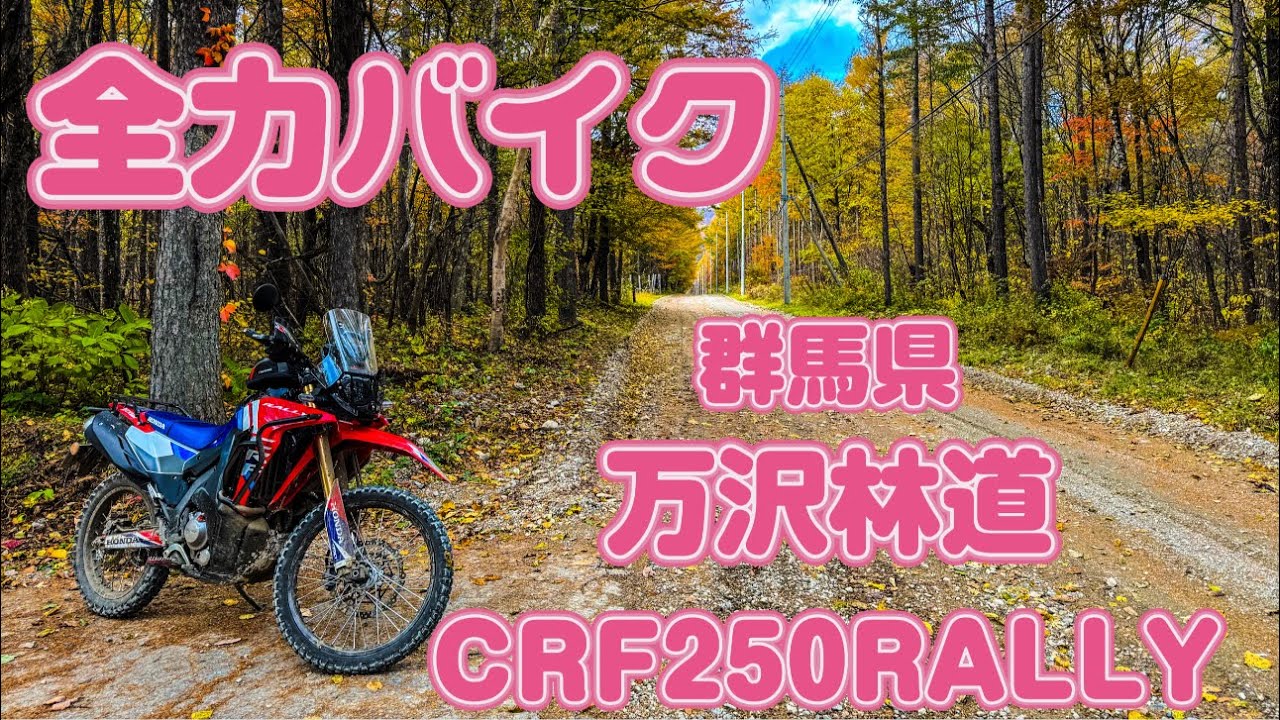 【4K】万沢林道【群馬県】CRF250RALLYで走ってきた