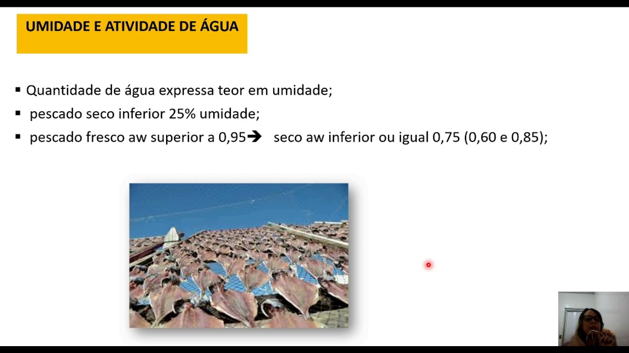 Aula Secagem e Salga
