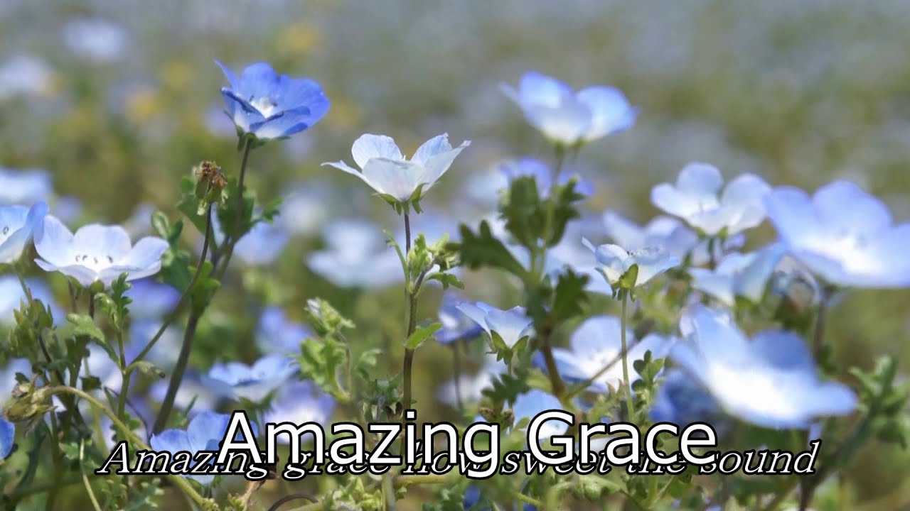 Amazing Grace    白鳥英美子