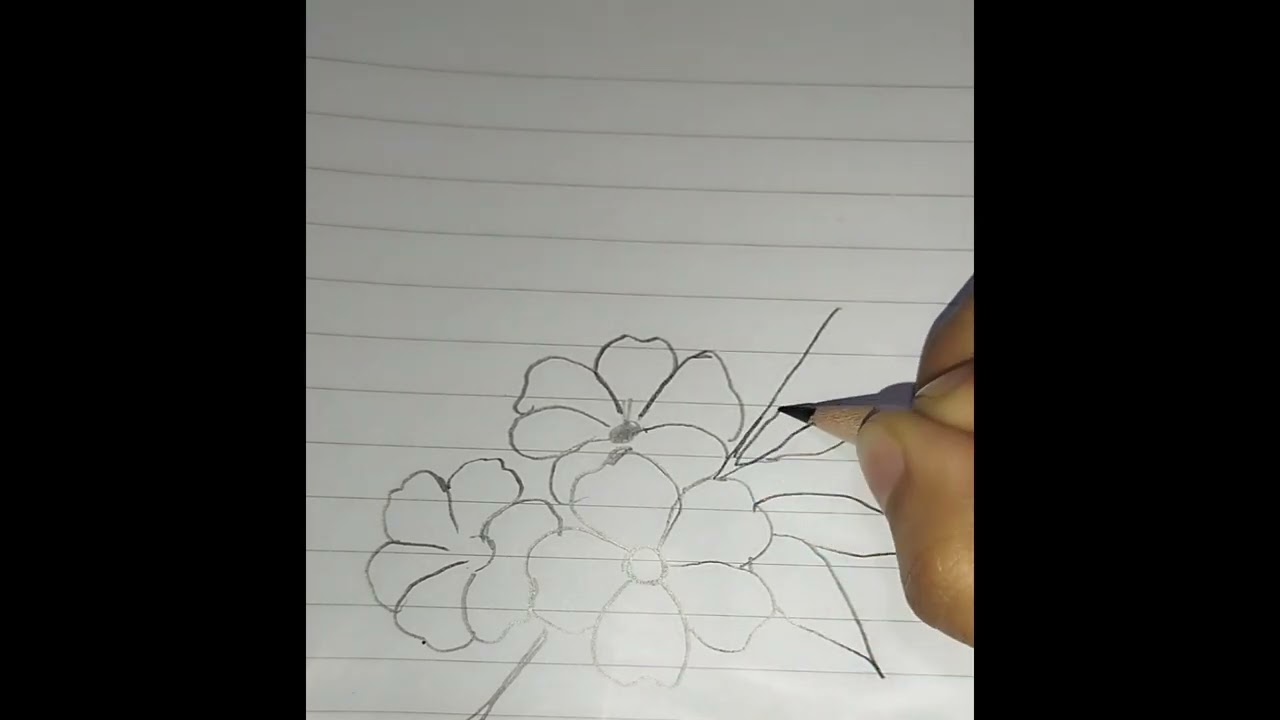 Flower drawing. #flower #drawing #short 