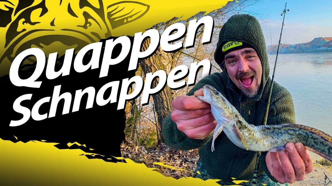 Quappenangeln im Winter | Mein erstes Mal auf Quappe in Deutschland