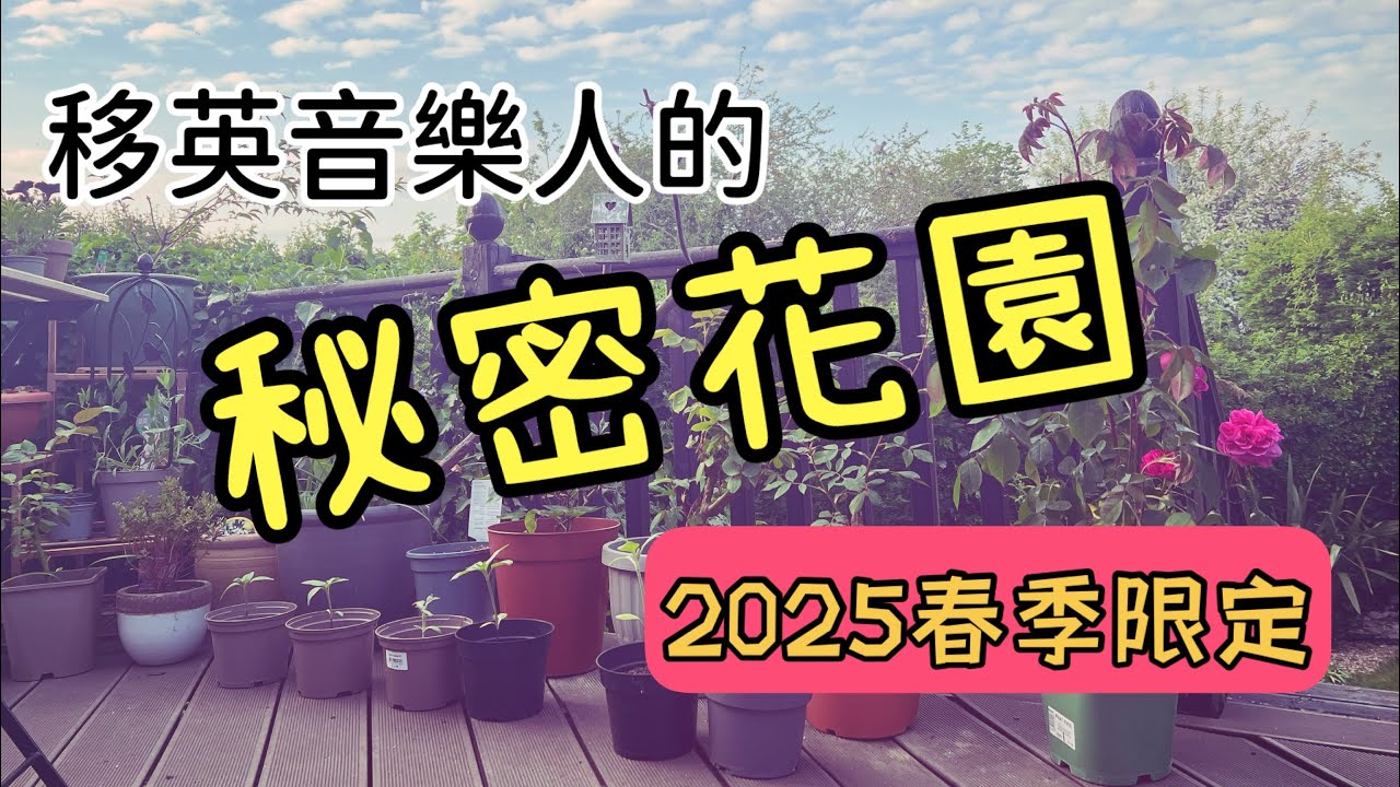 【英國5分鐘】我的秘密花園(2025春)/ 分享最新種植心得（適合園藝新丁）😊🌷🌼🌲