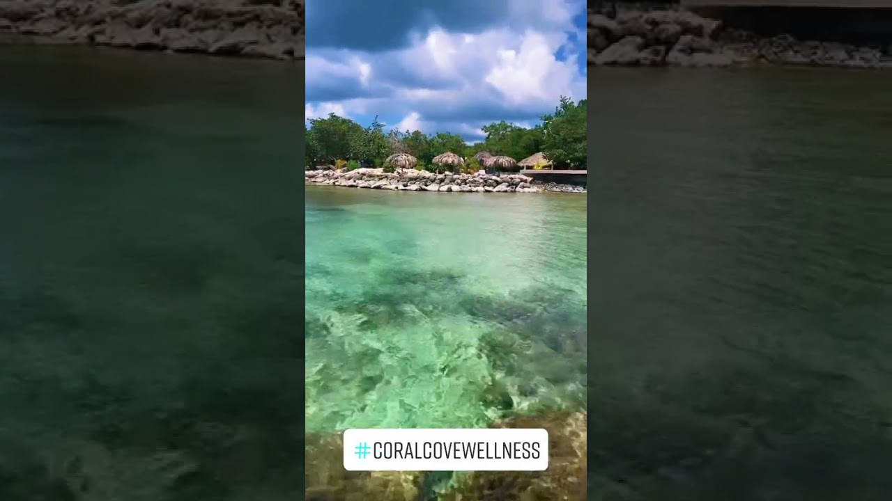 Your Vacation at Coral Cove Retreat Jamaica #shorts