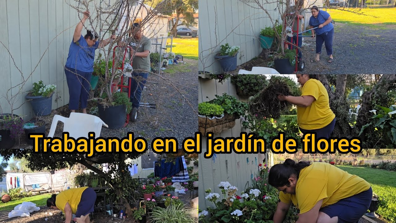 Trabajando en el jardín de flores
