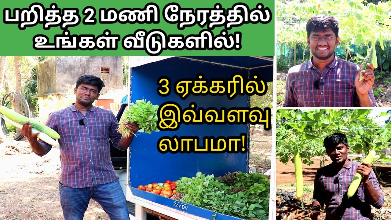 இப்படி கூட சந்தைப்படுத்தலாமோ ! விற்பனையில் அசத்தும் தம்பதி | Vrisham Organic Farm