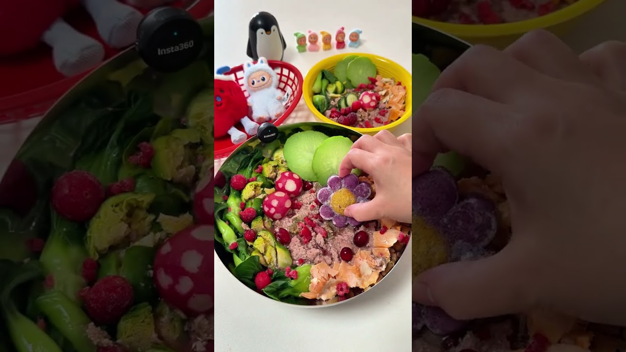 vlog.178 ble Dog family immersive meal preparation#Immersive pet meal planning#Homemade do