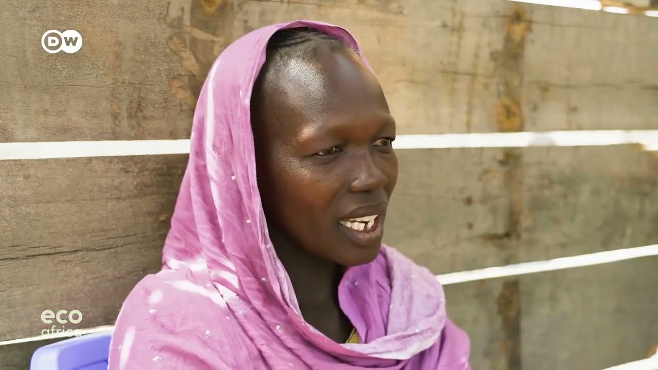 How Nothern Kenya is tackling water insecurity