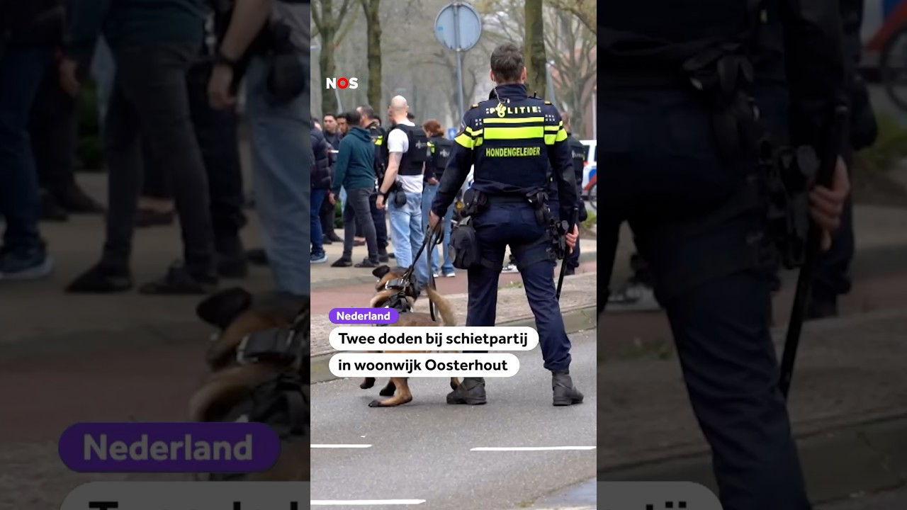 Twee doden bij schietpartij in woonwijk Oosterhout
