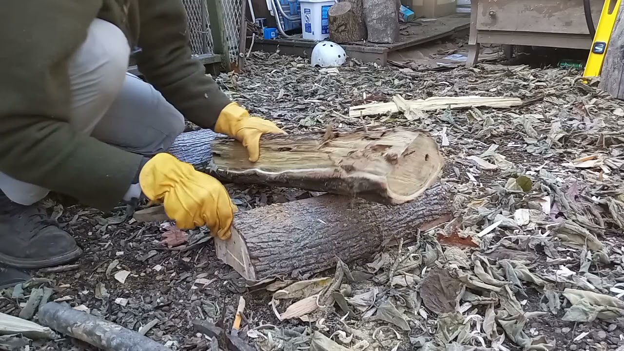 Locust Tree to Axe Handle Vintage Doublebit Saddle Cruiser