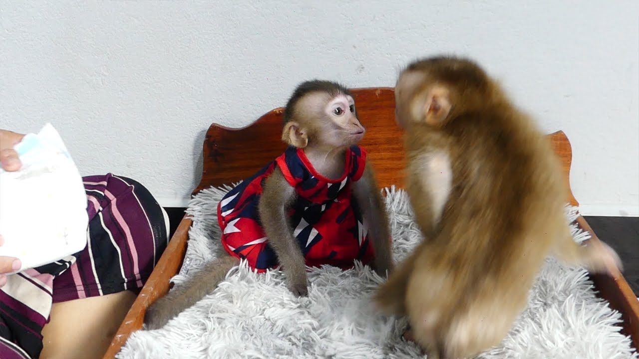 Sweetie Girl Laura & Lil Sara Very Excited Meeting Each Other This Morning