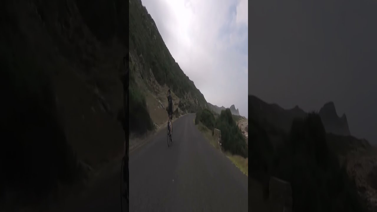 Wild Ostrich Chase | Shot on iPhone Meme