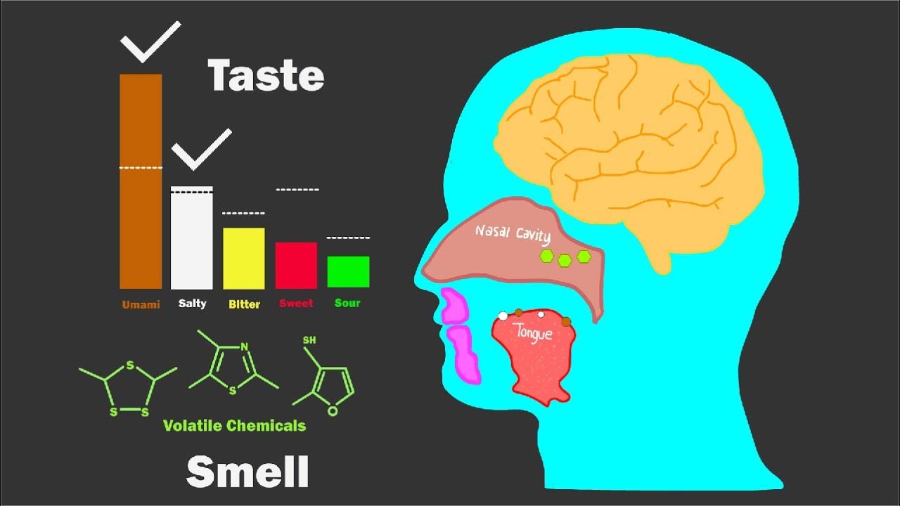 The Science of Flavor