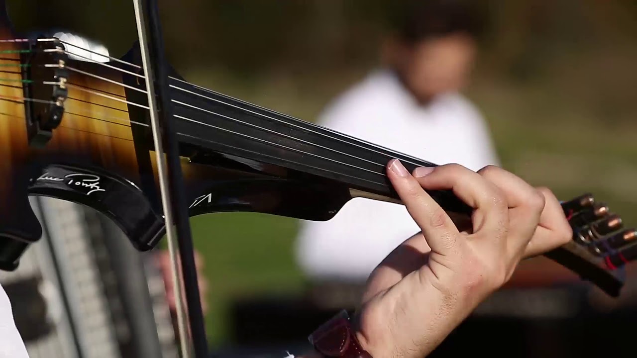 Ion Pogor - Astazi beau si chefuiesc