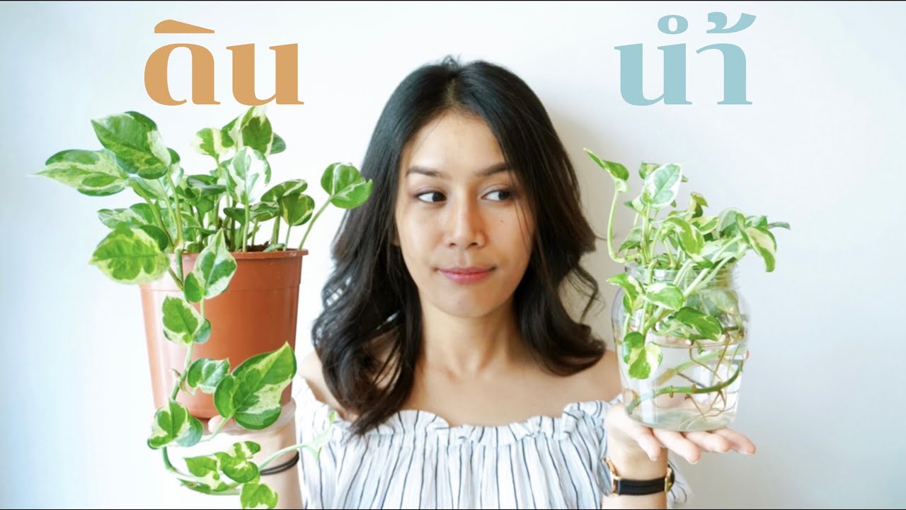 [ต้องรอด] EP.11 ทำไมรดน้ำต้นไม้เยอะแล้วตาย แต่ปลูกในน้ำกลับรอด