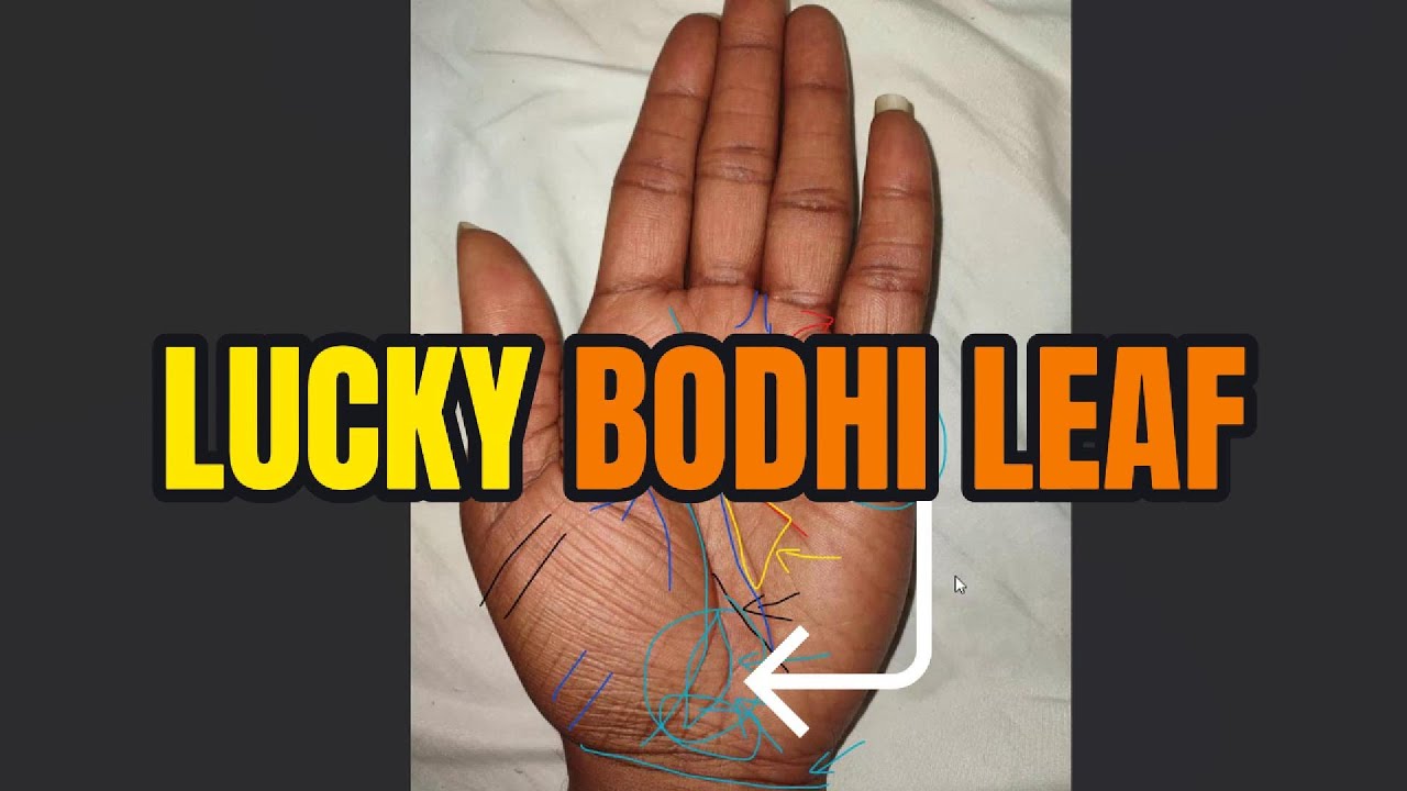 The 3 luckiest, rarest, and most accurate palmistry signs
