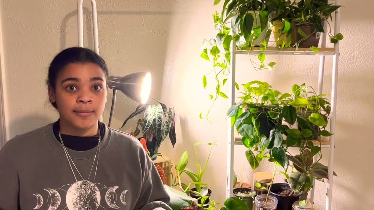 What causes variation in plants?!