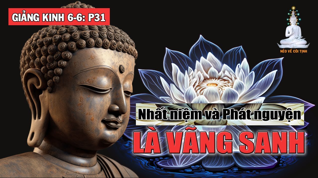 Phi Tác Ý Là Chân Tâm | Giảng Kinh 6-6 phần 31