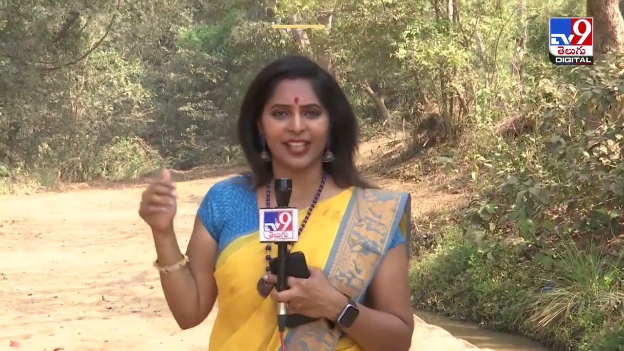 ఈ తొవ్వగుండానే సమ్మక్క తల్లిని తీసుకొచ్చేది - TV9