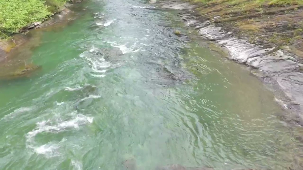 Skutz Falls Cowichan River BC