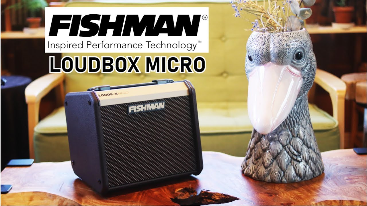 FISHMAN LOUDBOX MICRO【ギター？ウクレレ？何でも来いの小型アンプ！】