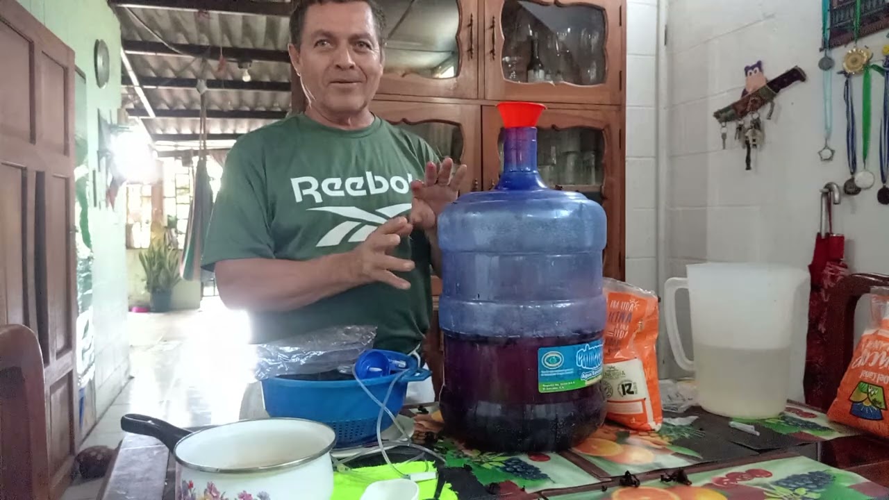 PREPARACION DE VINO DE JAMAICA ARTESANAL