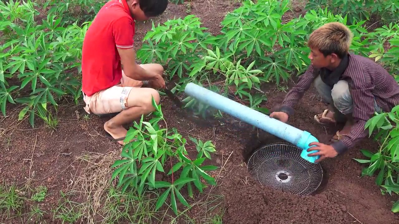 Amazing Clever Man Make Quick Bird Trap & Easy Deep Hole Using PVC And Electric Fan Guard
