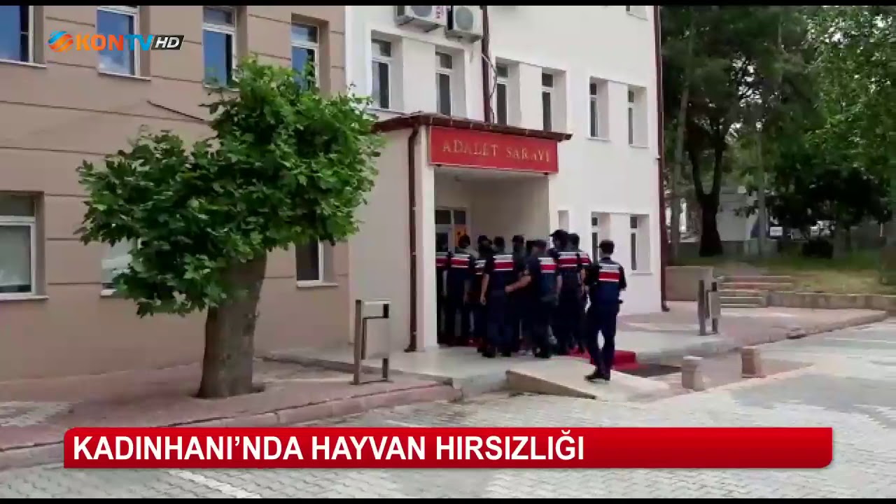 Kadınhanı'nda hayvan hırsızlığı