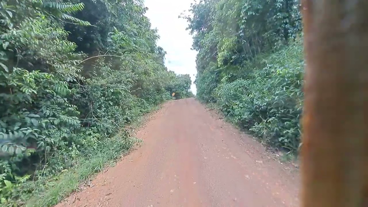 Estrada Perdida