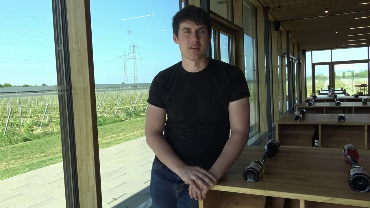 Weintaxi Wiesbaden - Weingut Schreiber - Vorstellung