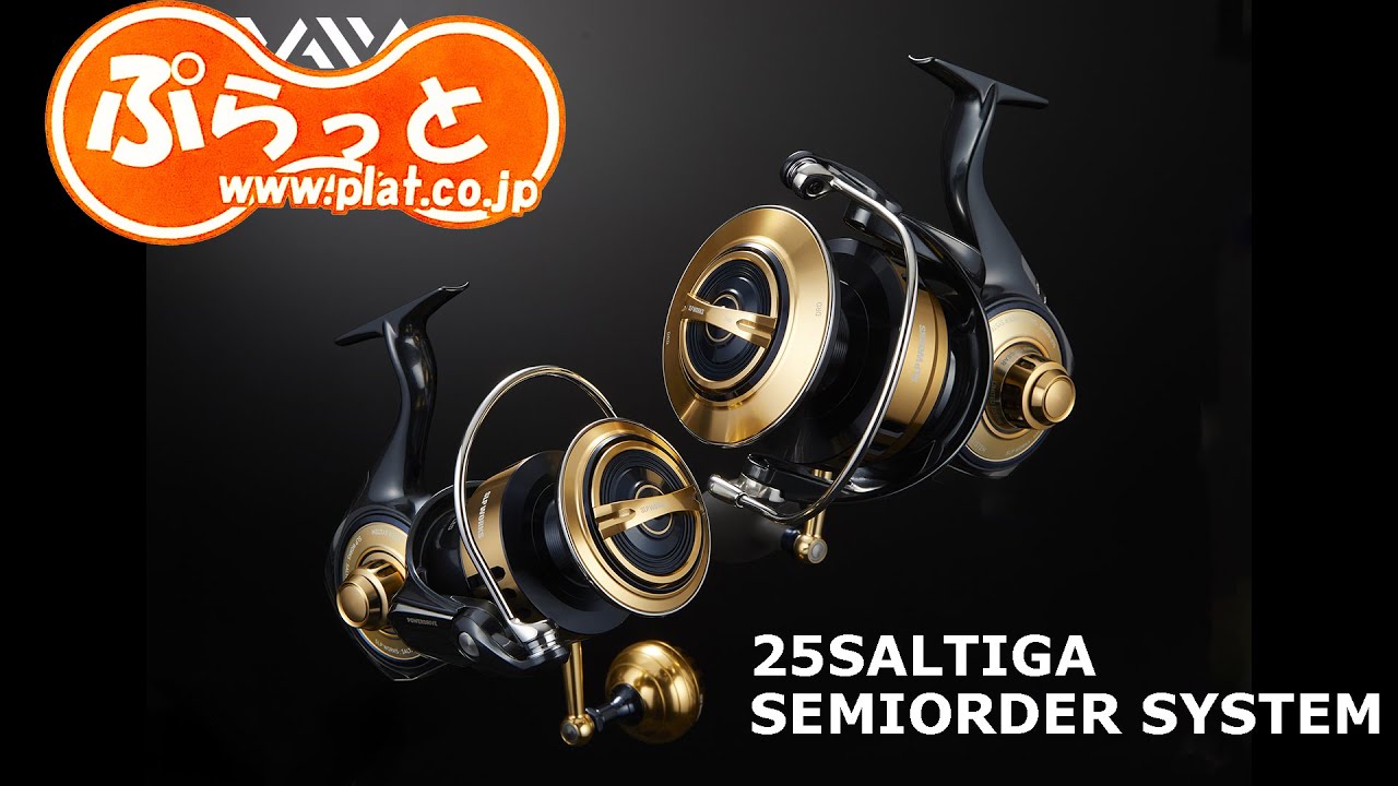 20th Anniversary EXIST SEMIORDER SYSTEM.  2025 SALTIGA SEMIORDER SYSTEM