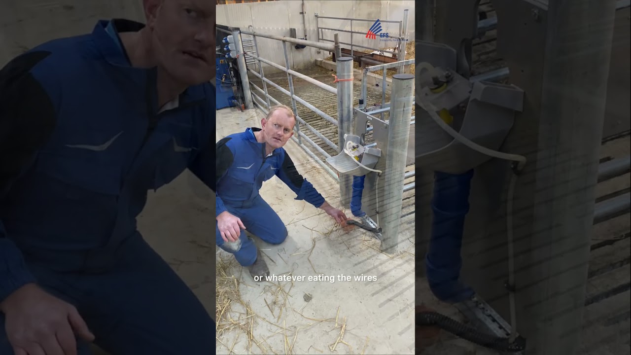 DeLaval CF1000S Automatic Calf Feeder Demonstration on farm.
