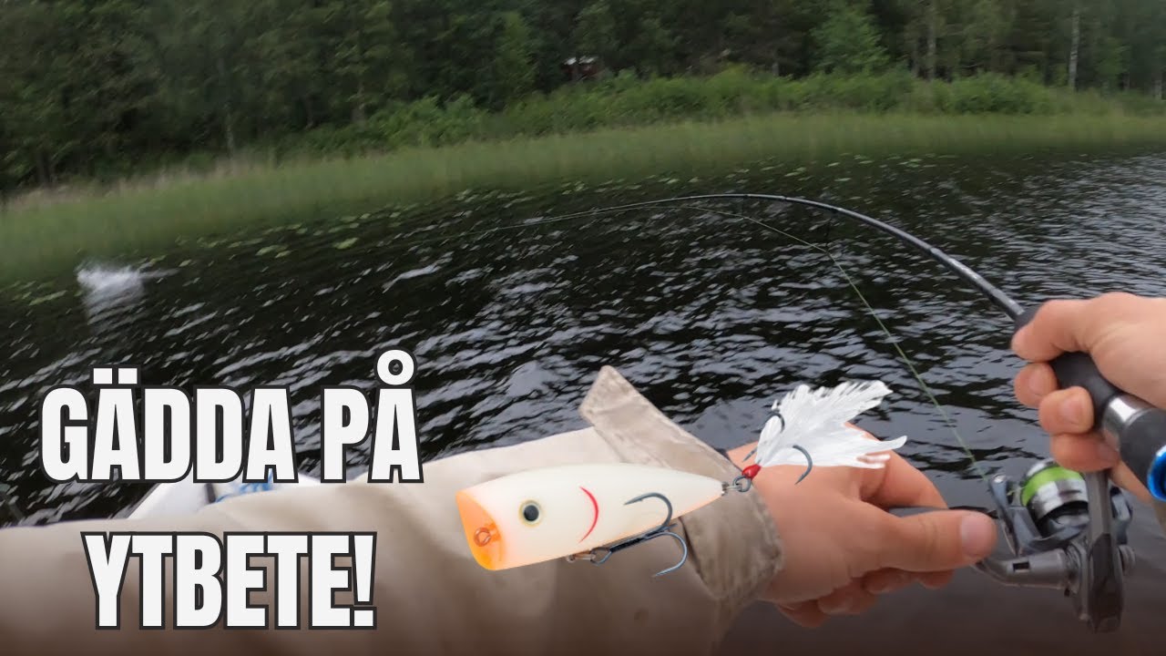 Gäddfiske med POPPER! Roligaste sommarfisket?
