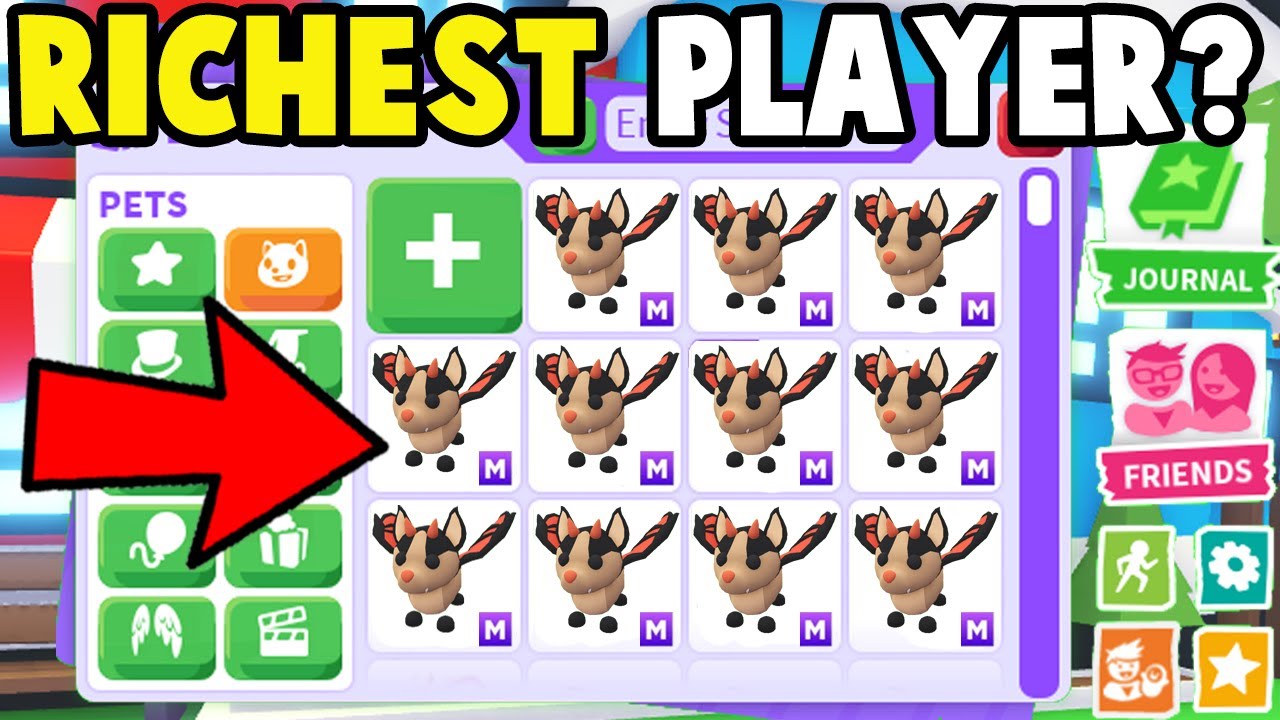 Кто самый БОГАТЫЙ игрок Adopt Me?