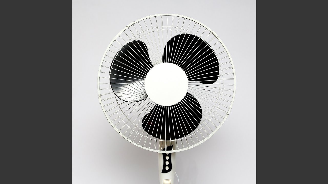 Calm Fan, Pt. 14