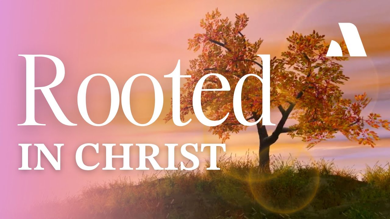 Rooted in Christ | Abide Sleep Meditation & Bible Story for Peaceful Rest