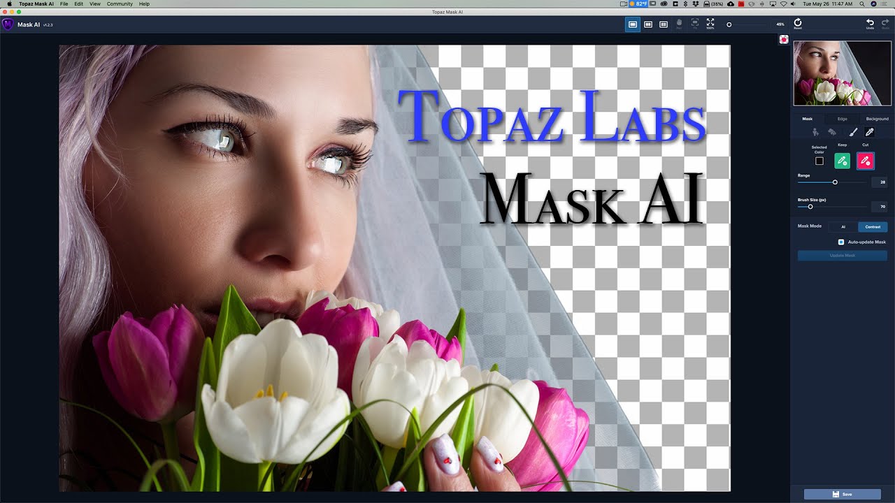 Topaz Labs MASK AI Tutorial