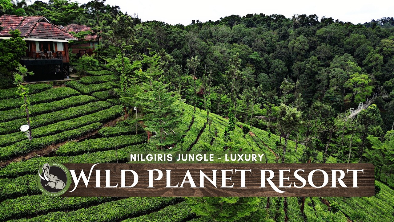 Wild Planet Resort Nilgiris - Can we Call it the Best Resort Near Ooty? | Full Review & Details