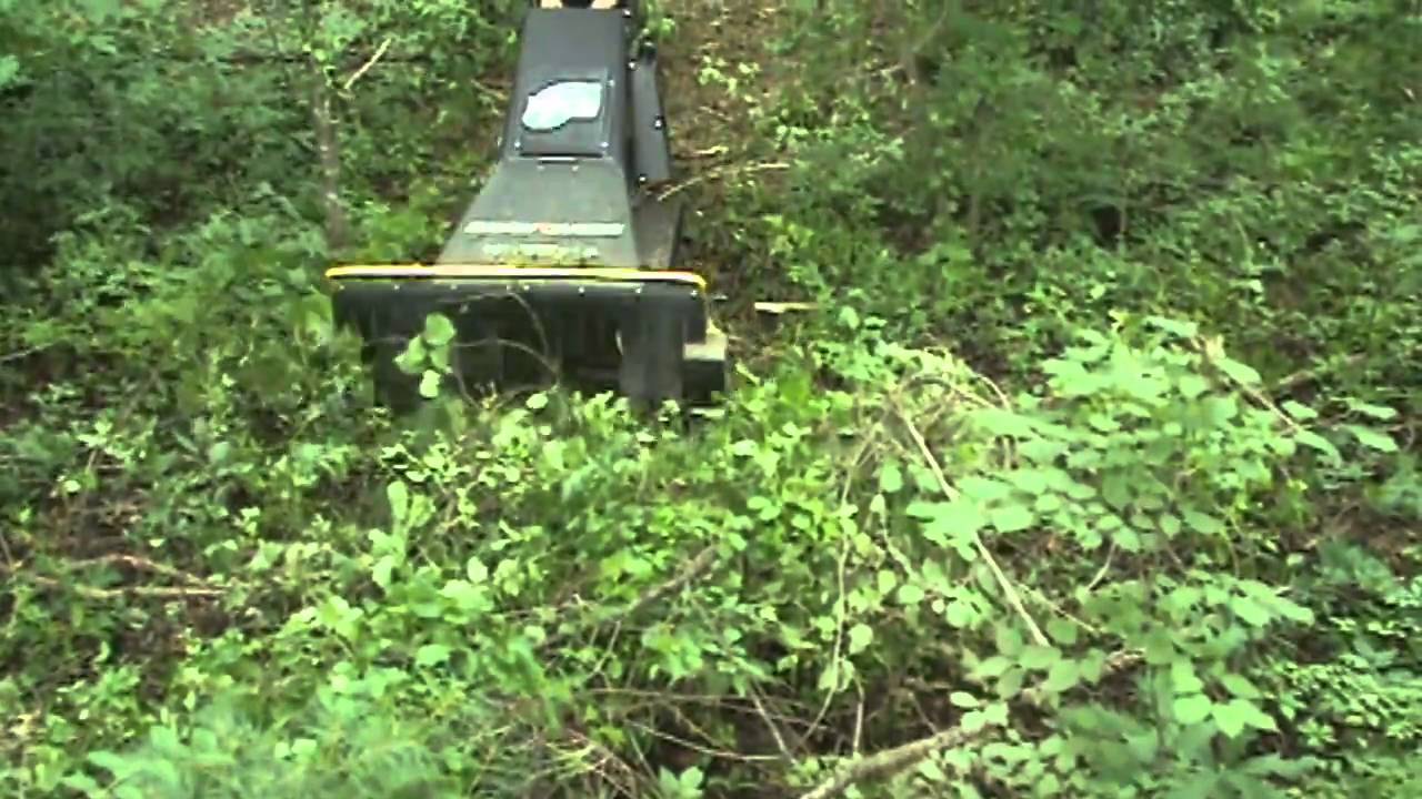 BRUSH BLAZER 2.wmv