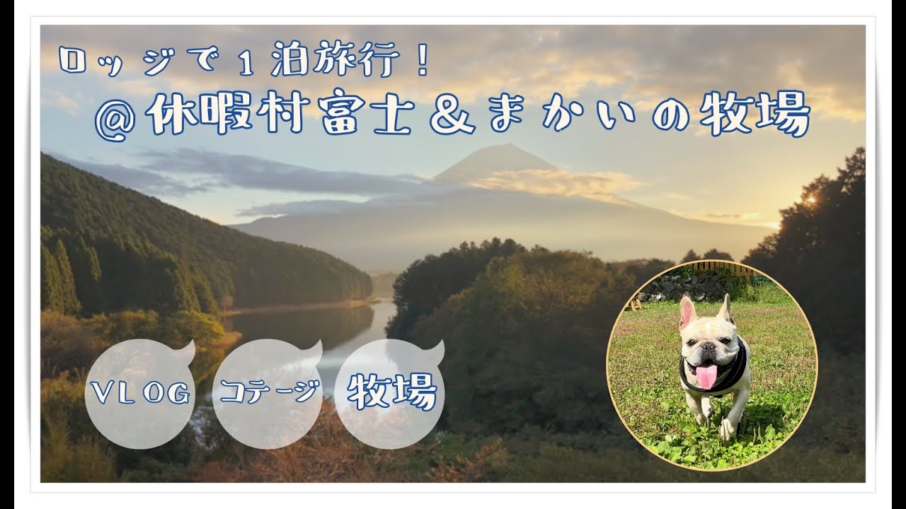 ペットと行けるダイヤモンド富士が見えるロッジに泊まってきました♪