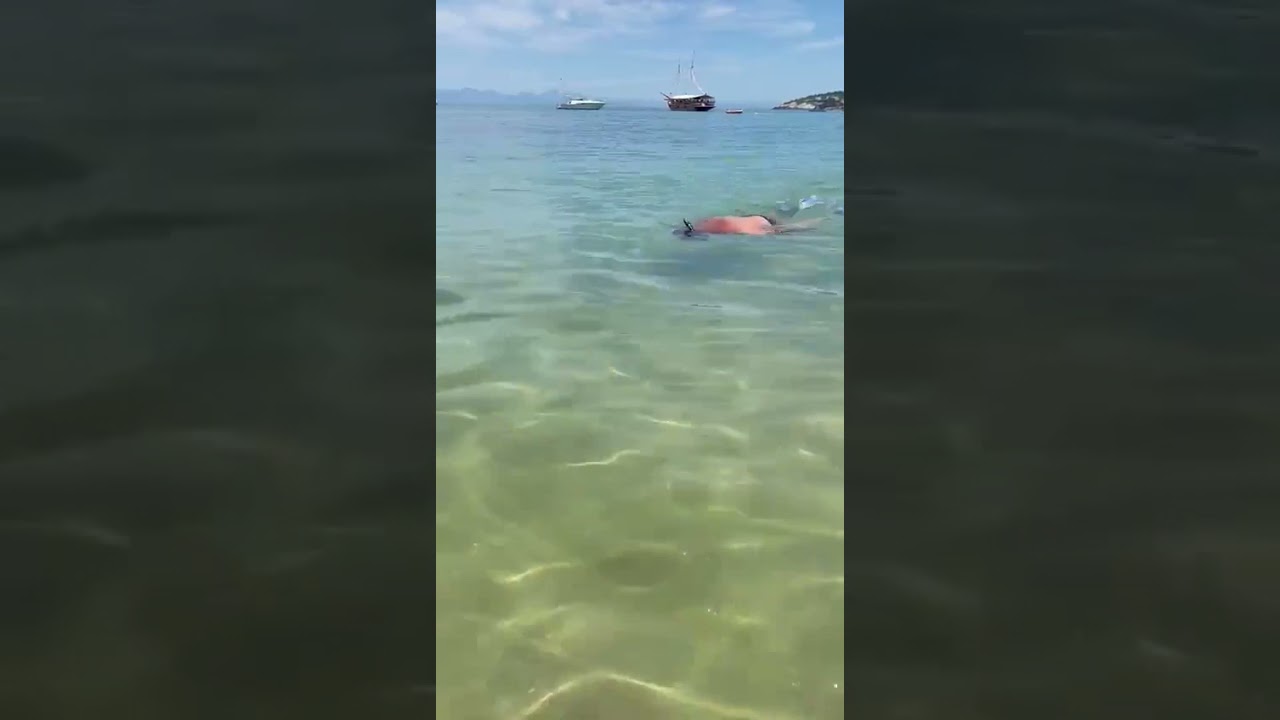 Nadadeira Seasub  boa pra snorkeling  e freediving!!!