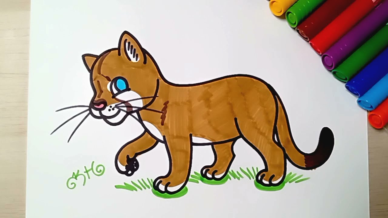 HOW TO DRAW a Cougar / Puma - easy drawing for kids - coloring with markers