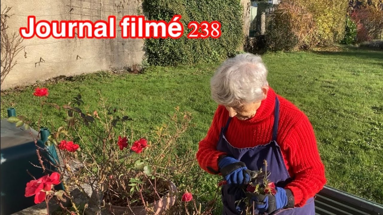 Journal filmé 238