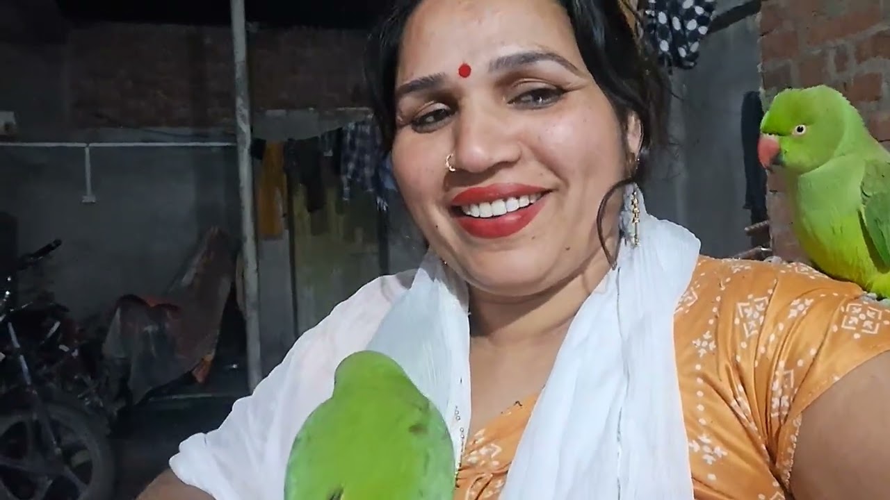 #parrot #talkingparot #funnyanimals #funnybirds ♥️♥️🦜🦜