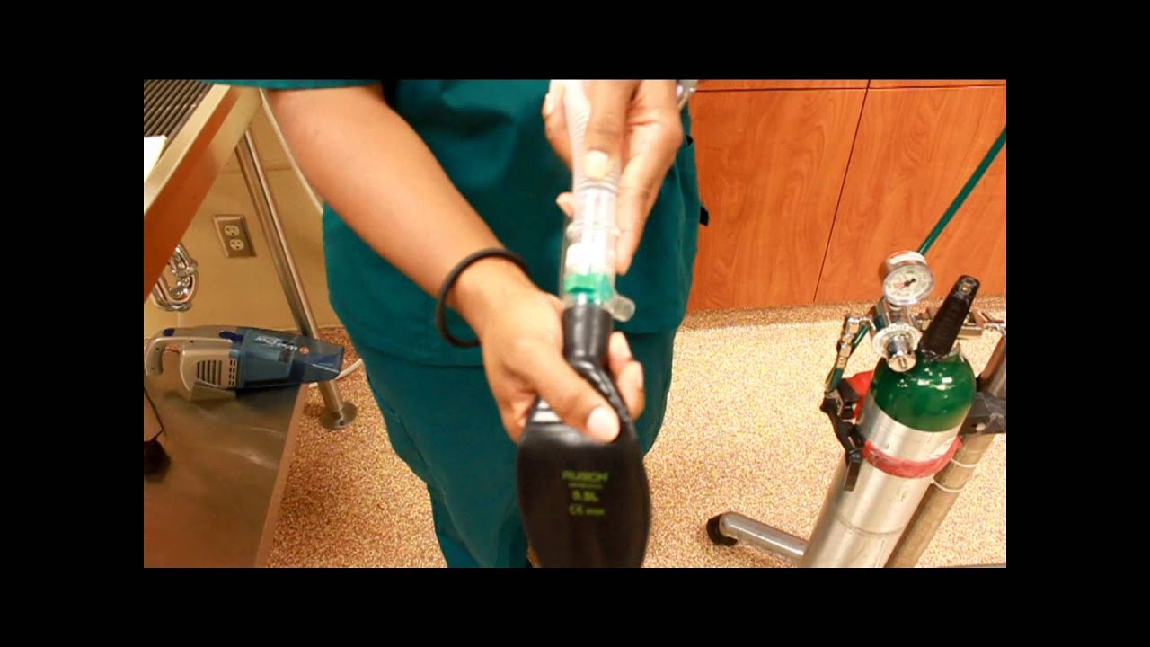 Anesthesia Machine Setup   Non Rebreathing system