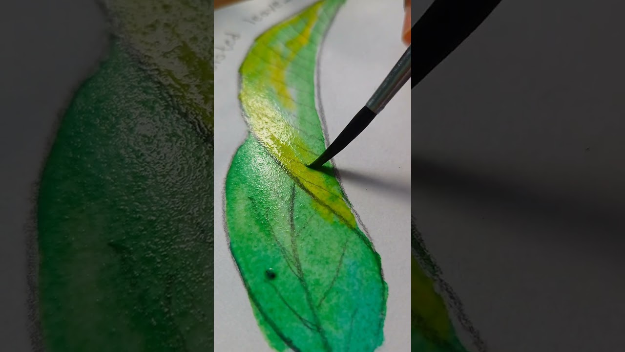 Twisted leaves drowing and watercolore painting @shrutisss 