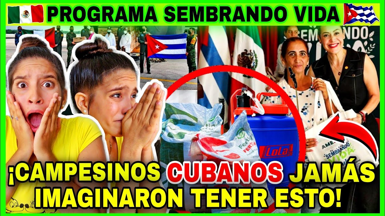Programa🇲🇽 SEMBRANDO VIDA🌱 en CUBA🇨🇺 2023 reaction ¡Nunca NADIE había HECHO esto POR CUBA😭! GRACIAS🥹