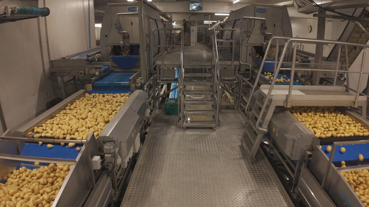 Wyma Case Study | Ibérica de Patatas | Modern & Highly Automated Potato Processing Line