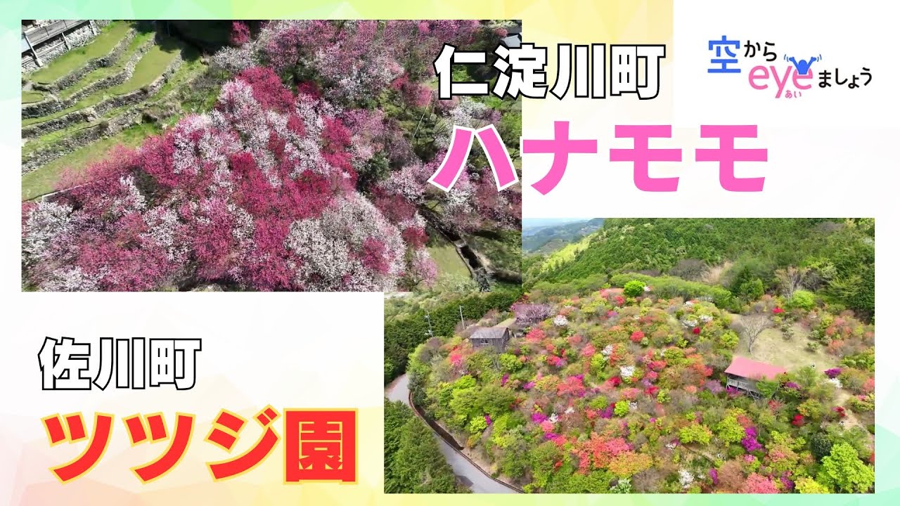 「ドローンで高知県内の表情を紹介 仁淀川町と佐川町 地域の人々が熱い思いで作り上げた花園を巡る」2024/4/23放送