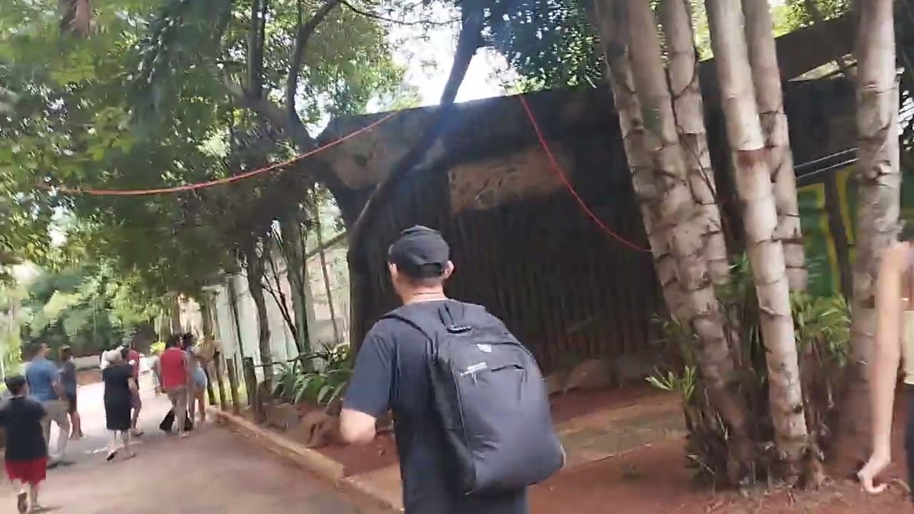 Zoológico 