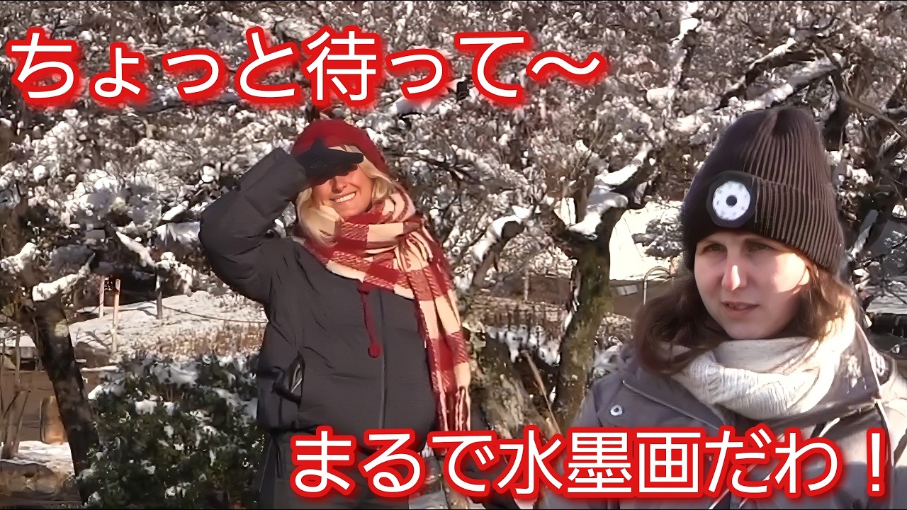 ちょっと待って～！まるで水墨画だわ！大雪の京都で外国人観光客の表情が緩む